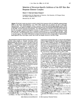 Selection of Structure-Specific Inhibitors of the HIV Rev