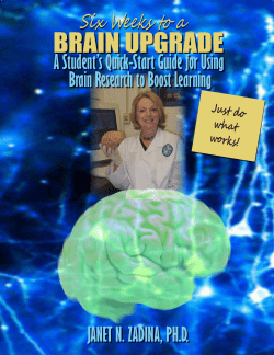 brain upgrade - Brain Research and Instruction