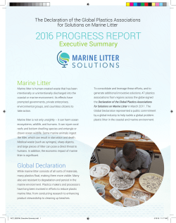 2016 Progress Report Executive Summary