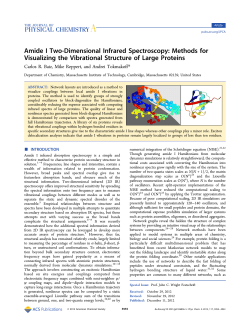 Methods for Visualizing the Vibrational Structure of Large Proteins