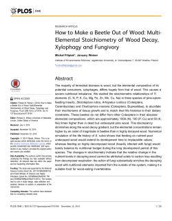 How to Make a Beetle Out of Wood: Multi