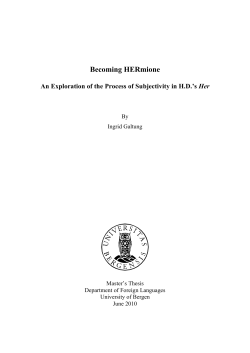 71954965 - (BORA)