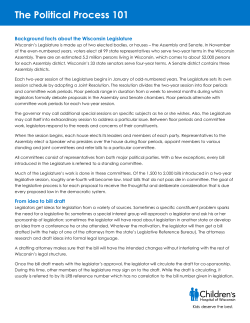 The Political Process 101