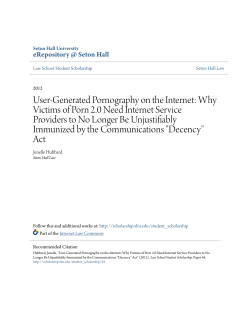 User-Generated Pornography on the Internet