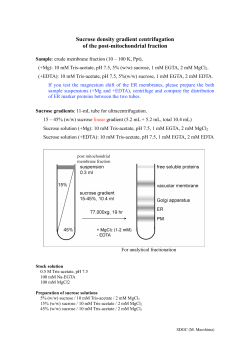Sucrose density gradient centrifugation of the post