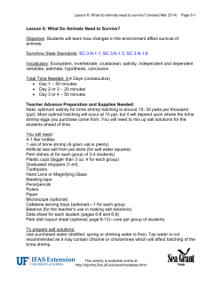 Lesson 6 - University of Florida