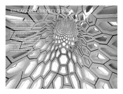 Hexagonal Honeycomb