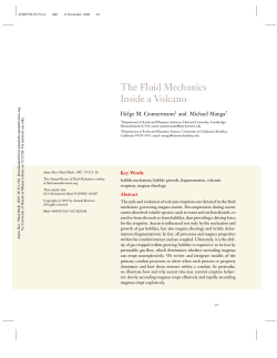 The Fluid Mechanics Inside a Volcano