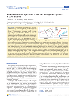 Interplay between Hydration Water and Headgroup Dynamics in