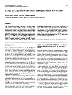 matrix proteins and their evolution - Development