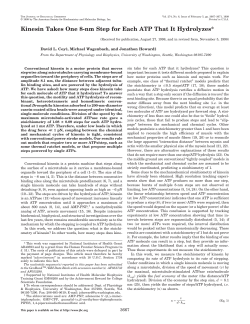 Kinesin Takes One 8-nm Step for Each ATP That It Hydrolyzes*