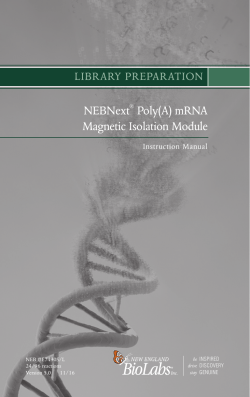manual NEBNext Poly(A) mRNA Magnetic Isolation Module NEB