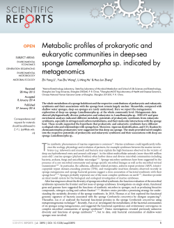 Metabolic profiles of prokaryotic and eukaryotic communities in deep