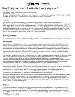 How Really Ancient Is Paulinella Chromatophora?