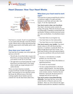 Heart Disease: How Your Heart Works