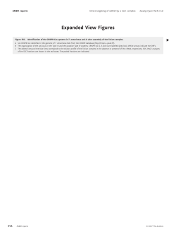 Expanded View Figures