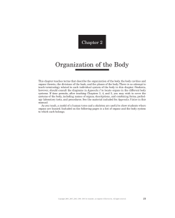 Organization of the Body