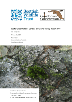 Jupiter Urban Wildlife Centre bryophyte survey