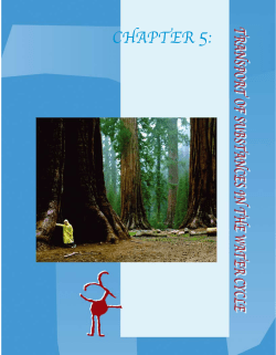 CHAPTER 5: