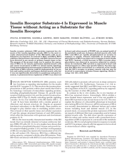 Insulin Receptor Substrate-4 Is Expressed in Muscle Tissue without