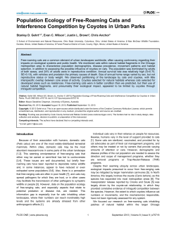 Population Ecology of Free-Roaming Cats and Interference