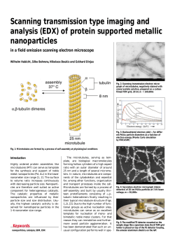 Scanning transmission type imaging and analysis (EDX) of protein