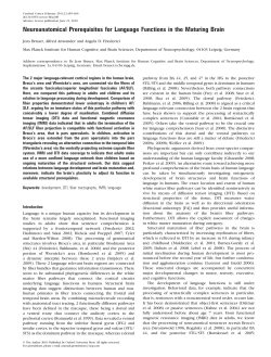 Neuroanatomical Prerequisites for Language