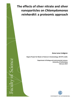 The effects of silver nitrate and silver nanoparticles on