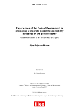 Experiences of the Role of Government in promoting Corporate