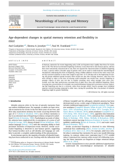 Age-dependent changes in spatial memory retention and flexibility