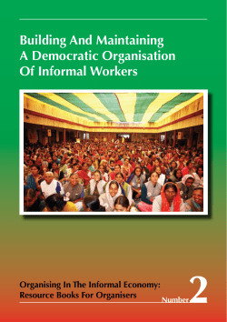 Building And Maintaining A Democratic Organisation Of Informal