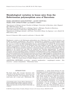 Morphological variation in house mice from the