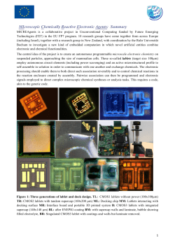 MIcroscopic Chemically Reactive Electronic Agents: Summary