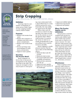 Strip Cropping