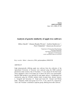 Analysis of genetic similarity of apple tree cultivars