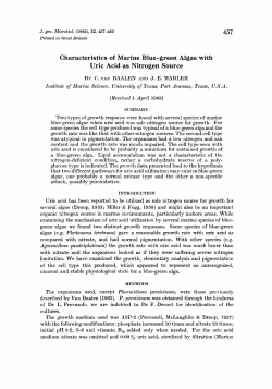 Characteristics of Marine Blue -green Algae with Uric