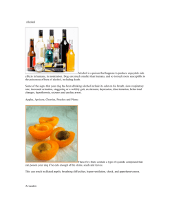 Alcohol Alcohol is a poison that happens to produce enjoyable side