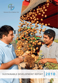 Sustainable Development Report 2010