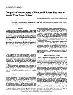 Comparison between Aging of Slices and Ethylene Treatment of