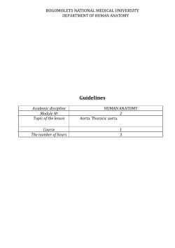 Guidelines - anatom.ua