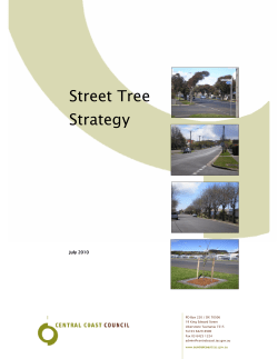 Street Tree Strategy - Central Coast Council
