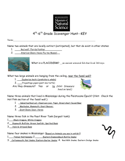 4th-6th Grade Scavenger Hunt--KEY