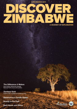 Read More - African Bush Camps