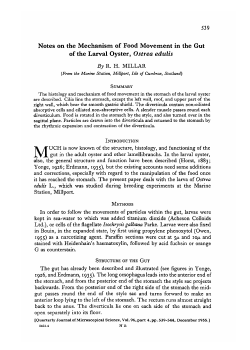 Notes on the Mechanism of Food Movement in the Gut of the Larval