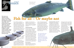 Fish for all &ndash; Or maybe not - X