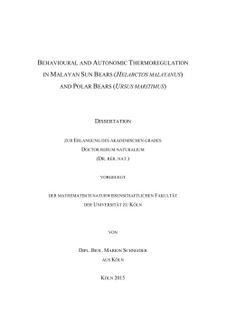 and polar bears (ursus maritimus)