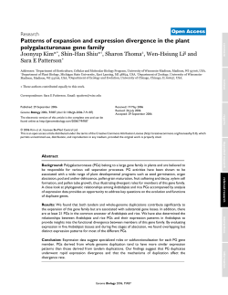 Patterns of expansion and expression divergence in the plant