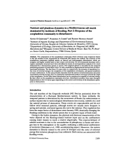 Nutrient and plankton dynamics in a Mediterranean salt marsh