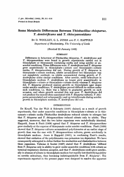 Some Metabolic Differences Between Thiobacillus
