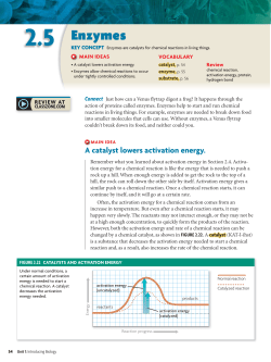 2.5 Enzymes